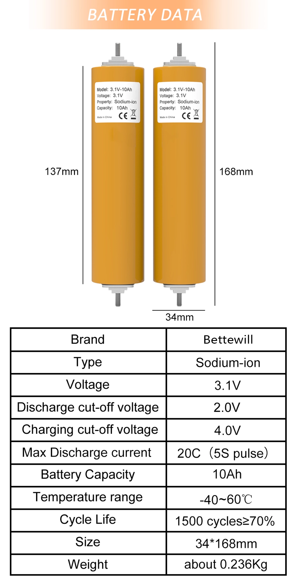Sodium-ion Battery