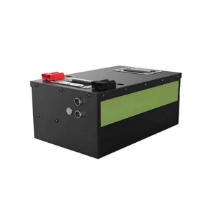 Golf Carts Battery High Performance LiFePO4 Lithium Battery with BMS System