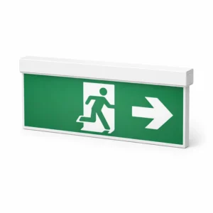 Emergency light power