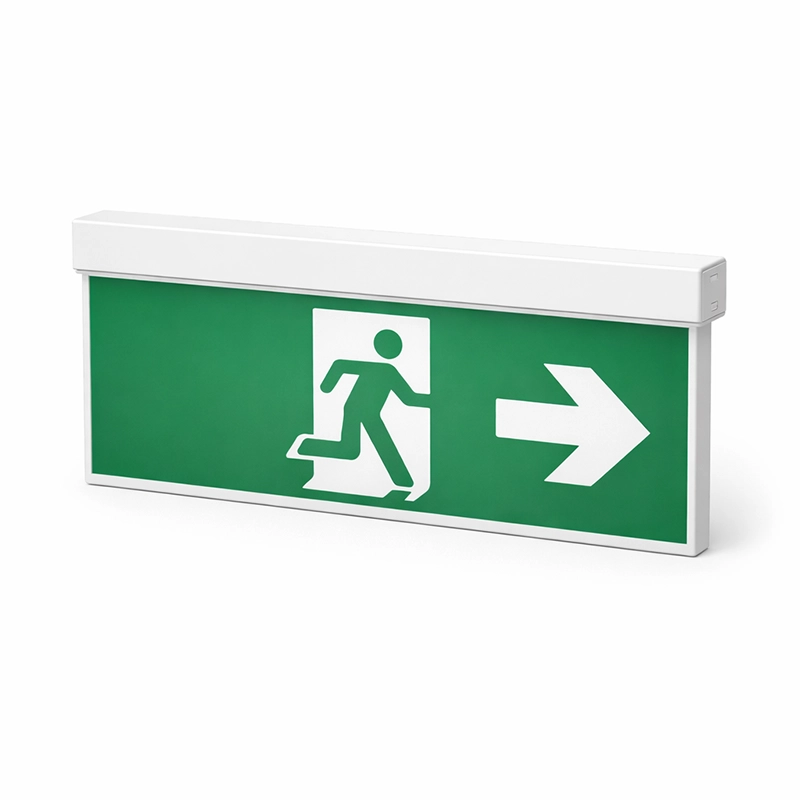 Emergency light power